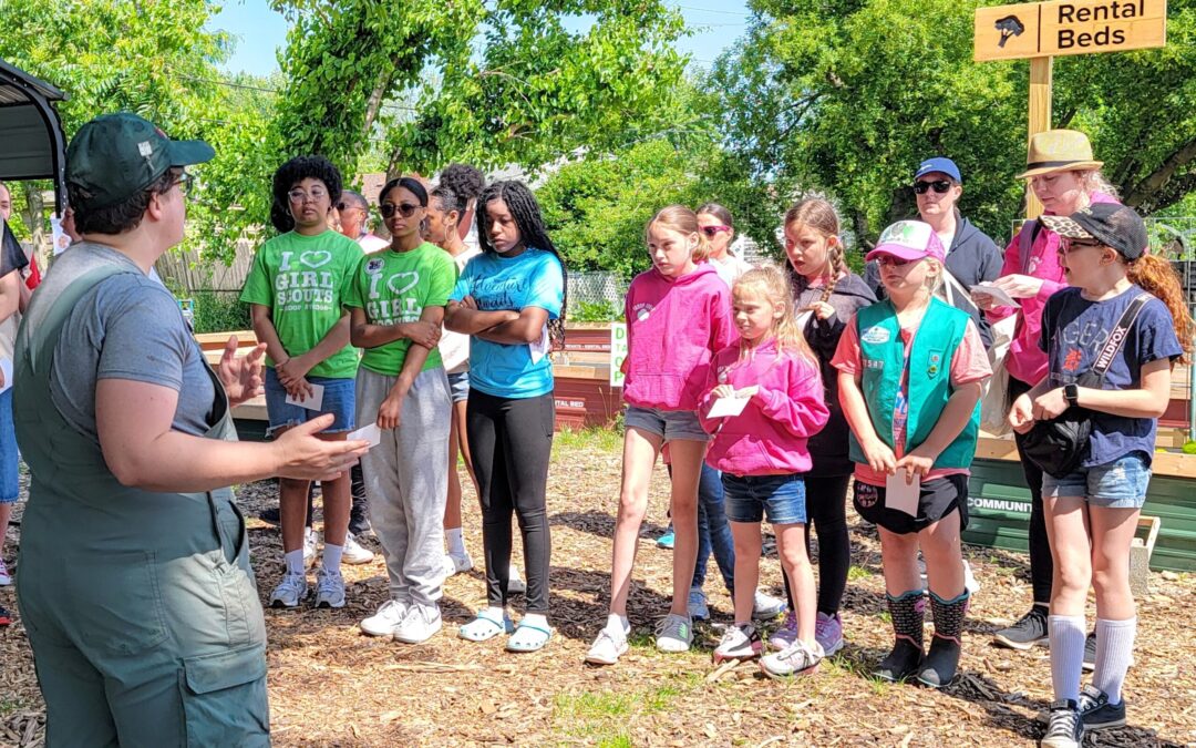 Girl Scouts, Native Plants, and All Kinds of Community Magic