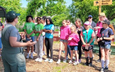 Girl Scouts, Native Plants, and All Kinds of Community Magic